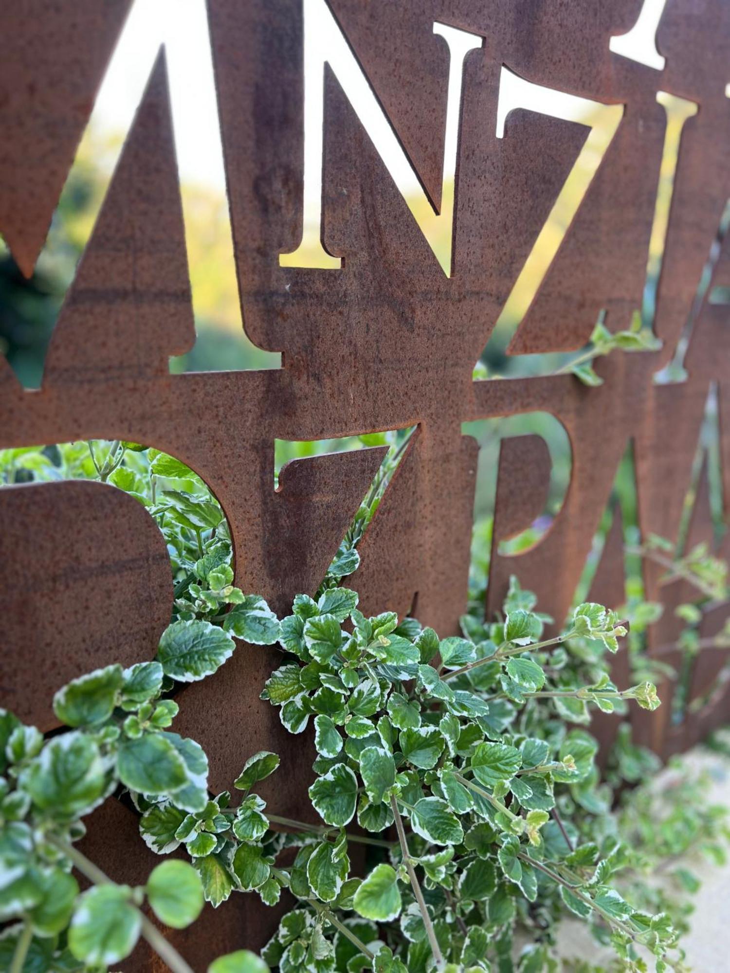 Tenuta Zamparina Montignoso Luaran gambar